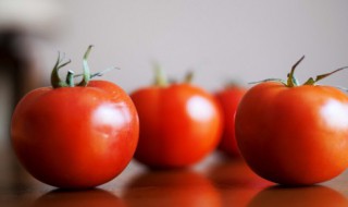 番茄是蔬菜还是水果（番茄是蔬菜还是水果类）