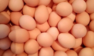鸡蛋清中黑色物质以及白色絮状成分是什么 鸡蛋清中黑色物质以及白色絮状成分介绍