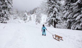 单板滑雪板有哪些类型（单板滑雪板有哪些类型的）