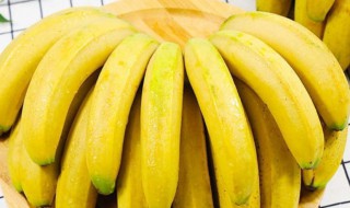 小米香蕉的功效和作用（小米香蕉的功效和作用视频）