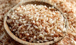 糙米的营养价值及功效与作用 糙米的营养价值及功效与作用百度百科