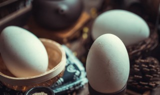 鹅蛋里的小秘密 鹅蛋里面有什么