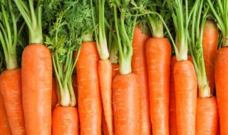 生吃胡萝卜有哪些好处 一天一根胡萝卜过量吗