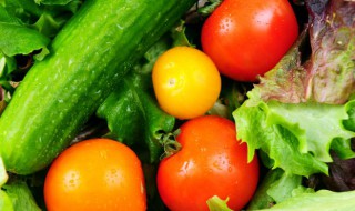 适合春季食用的蔬菜种类推荐（适合春季食用的蔬菜种类推荐大全）
