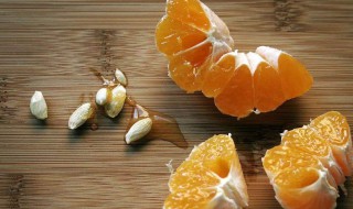 桔子籽的功效与作用（桔子籽的功效与作用 橘子籽的功效与作用）