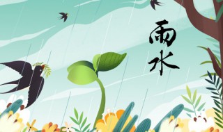 雨水节气怎么养生 雨水节气养生注意事项