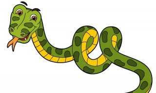 蛇的别称和美名 蛇的别称和美名有什么