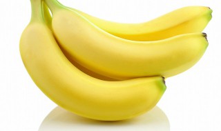芭蕉和香蕉的营养成分有什么区别呢 芭蕉和香蕉的营养成分有什么区别呢图片