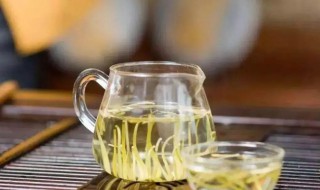 金银花应该怎么泡水喝（金银花应该怎么泡水喝呢）