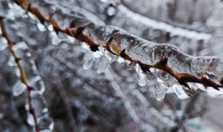 冻雨和雪有什么区别 冻雨和下雪有什么区别