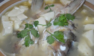 豆腐炖鱼头怎么做好吃 豆腐炖鱼头怎么做好吃视频