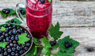 黑加仑和蓝莓的区别（黑加仑是葡萄还是蓝莓）