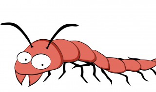 蜈蚣的生活环境和特点（蜈蚣的生活环境和特点具体都有哪些）