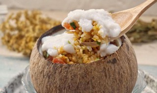 椰子饭的做法（椰子饭的做法大全）