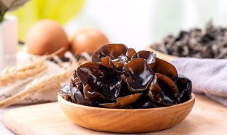 木耳要泡多久才能煮（木耳要泡多久才能煮烂）