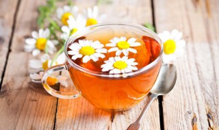 芙蓉花茶适合什么人喝（芙蓉花茶的功效）