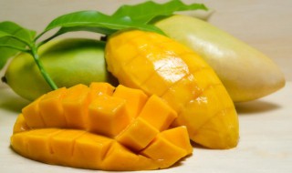 芒果和什么不能混着吃（芒果和什么不能混合吃）