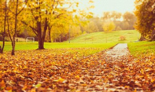 描写秋天最美的句子 最新描写秋天的优美句子