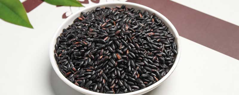 稻麦黍菽稷怎么念 稻粱菽麦黍稷怎么念