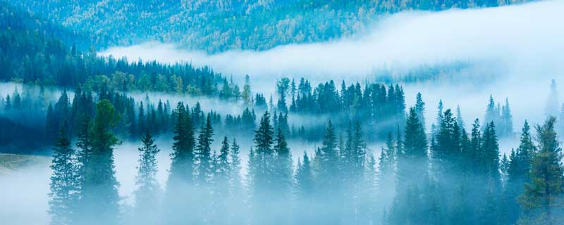 形容初冬早晨美好的古诗 形容冬季早晨美好的古诗