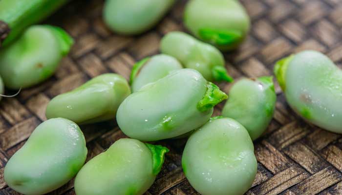 稻麦黍菽稷怎么念 稻粱菽麦黍稷怎么念