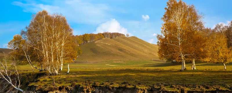 家乡的秋天写一段话 我喜欢家乡的秋天写一段话