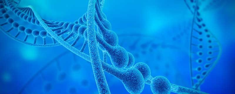 生物的遗传和变异是通过什么实现的 生物的遗传和变异是通过什么实现的?