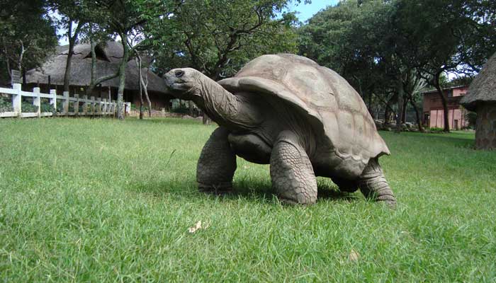 土地写一句话一年级 土地写句子一年级 