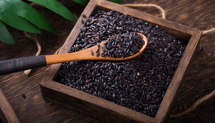 稻麦黍菽稷怎么念 稻粱菽麦黍稷怎么念