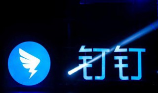 钉钉的视频会议有哪些功能（钉钉的视频会议有哪些功能可以用）