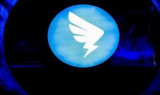 钉钉上开会是视频吗 钉钉上开会是视频吗还是图片