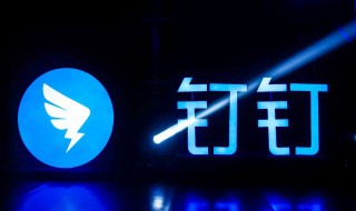 钉钉视频会议怎么查看参加人数（怎样看钉钉视频会议参加人数）
