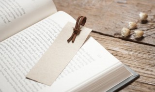 关于孙悟空的作文 关于孙悟空的作文范文