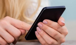 小蓝鸟是推特吗 小蓝鸟是不是推特