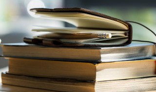 嗜字怎么读 怎么读嗜字