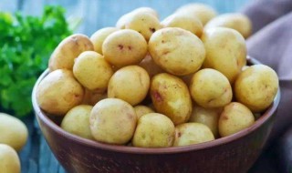 怎么煮土豆 如何煮土豆