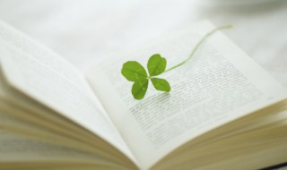 煜怎么组词 煜如何组词