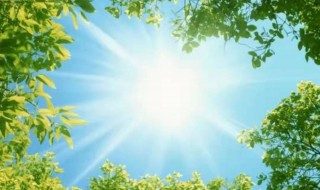 阳光励志的语录 有关阳光励志的语录