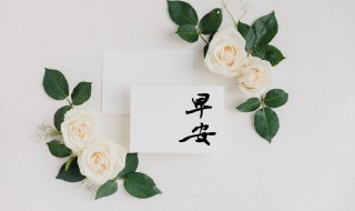 早安心语优美的语句励志 比较励志的早安心语