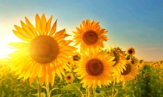 短句励志十字 励志十字短句精选