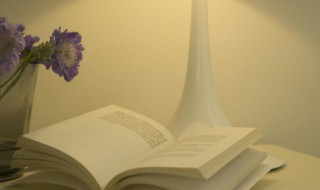 这的组词 这的组词有哪些