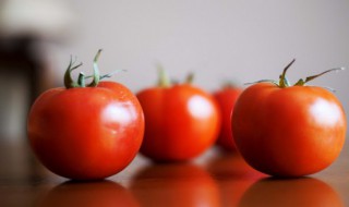 番茄鲅鱼罐头的做法 番茄鲅鱼罐头的做法介绍