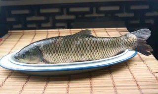 常吃草鱼的功效与作用有哪些 常吃草鱼有如下功效作用