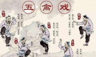 练习五禽戏有哪些好处 什么是五禽戏