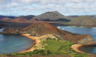 厄瓜多尔的特产是什么 厄瓜多尔的特产是什么 雪茄