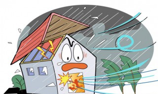 每秒8米是几级风（风速每秒8米是几级风）