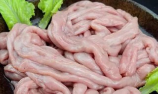 猪粉肠为什么会苦（猪粉肠为什么会苦 原因这几点）