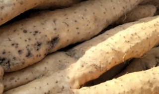 山药为什么会变红（有些山药为什么会变红）