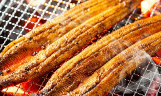 烤鱼可以加那些配菜（烤鱼可以加哪些配菜）