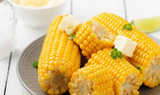 玉米的用途和功效有哪些（玉米的作用和用途）